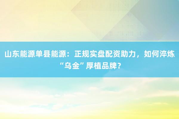 山东能源单县能源：正规实盘配资助力，如何淬炼“乌金”厚植品牌？