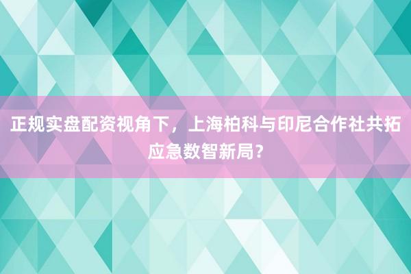 正规实盘配资视角下，上海柏科与印尼合作社共拓应急数智新局？