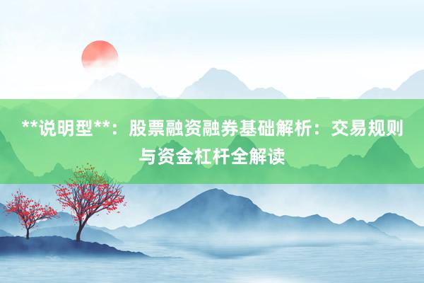 **说明型**：股票融资融券基础解析：交易规则与资金杠杆全解读