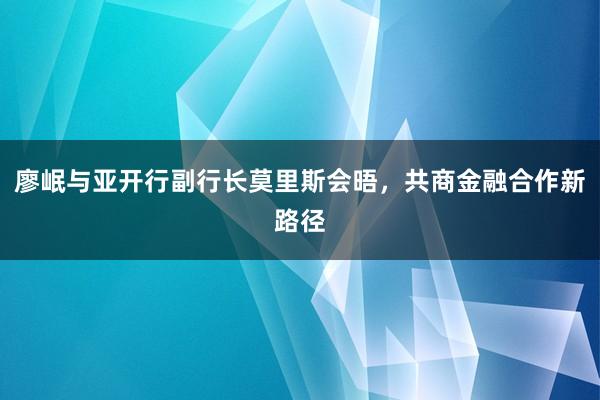 廖岷与亚开行副行长莫里斯会晤，共商金融合作新路径