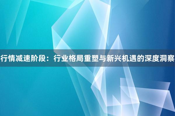 行情减速阶段：行业格局重塑与新兴机遇的深度洞察