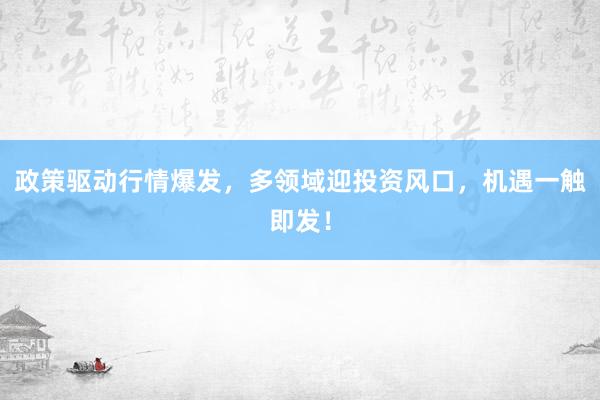 政策驱动行情爆发，多领域迎投资风口，机遇一触即发！
