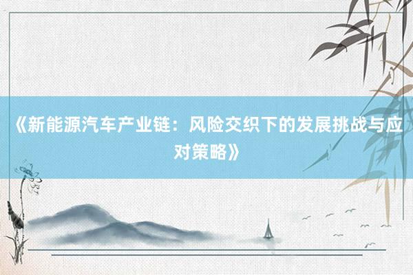 《新能源汽车产业链：风险交织下的发展挑战与应对策略》