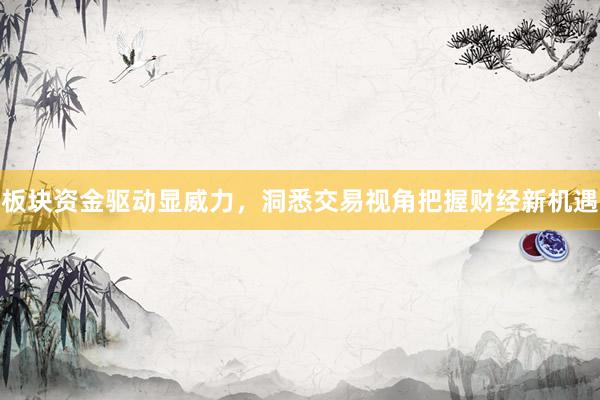 板块资金驱动显威力，洞悉交易视角把握财经新机遇
