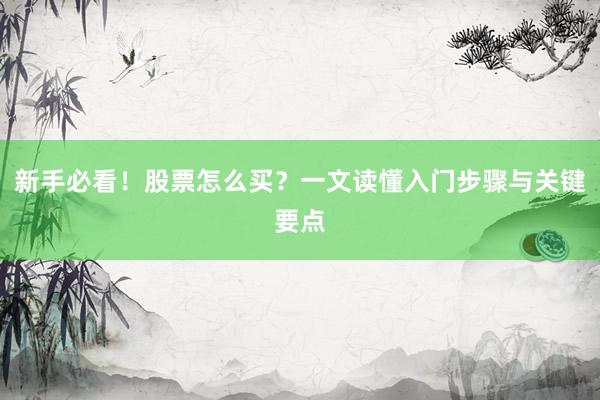 新手必看！股票怎么买？一文读懂入门步骤与关键要点