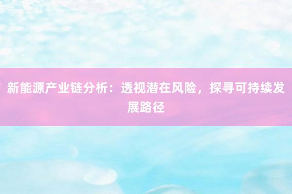 新能源产业链分析：透视潜在风险，探寻可持续发展路径