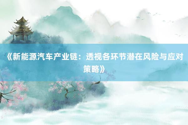 《新能源汽车产业链:透视各环节潜在风险与应对策略》