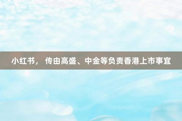小红书， 传由高盛、中金等负责香港上市事宜