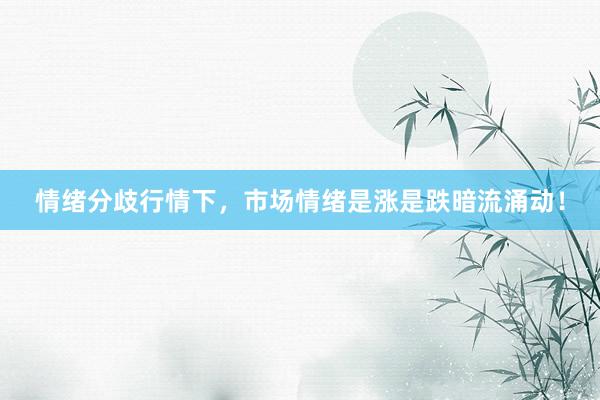 情绪分歧行情下，市场情绪是涨是跌暗流涌动！