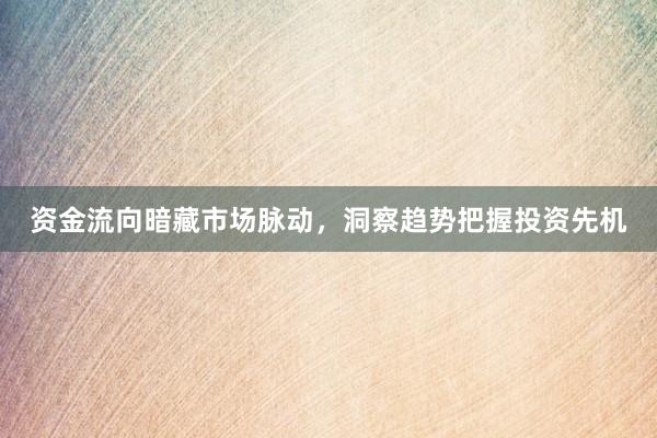 资金流向暗藏市场脉动，洞察趋势把握投资先机