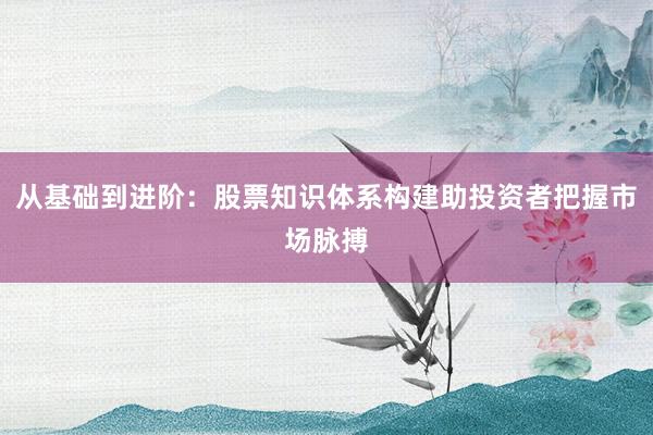 从基础到进阶：股票知识体系构建助投资者把握市场脉搏