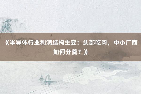 《半导体行业利润结构生变：头部吃肉，中小厂商如何分羹？》