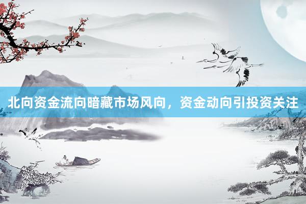 北向资金流向暗藏市场风向，资金动向引投资关注