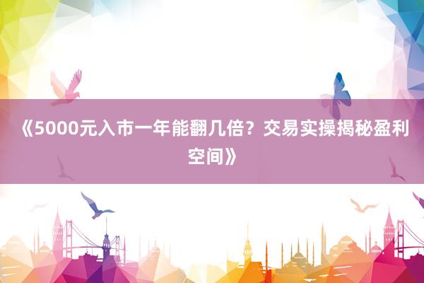 《5000元入市一年能翻几倍？交易实操揭秘盈利空间》