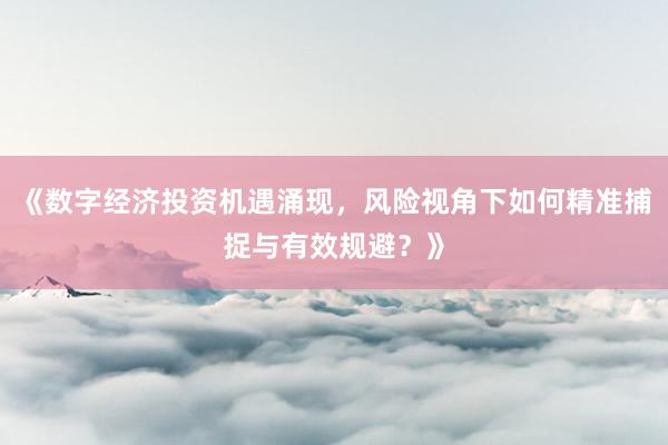 《数字经济投资机遇涌现，风险视角下如何精准捕捉与有效规避？》