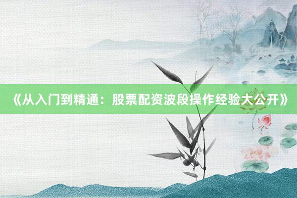 《从入门到精通：股票配资波段操作经验大公开》