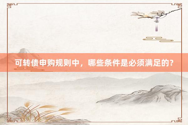 可转债申购规则中，哪些条件是必须满足的？