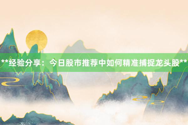 **经验分享：今日股市推荐中如何精准捕捉龙头股**