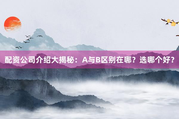 配资公司介绍大揭秘：A与B区别在哪？选哪个好？